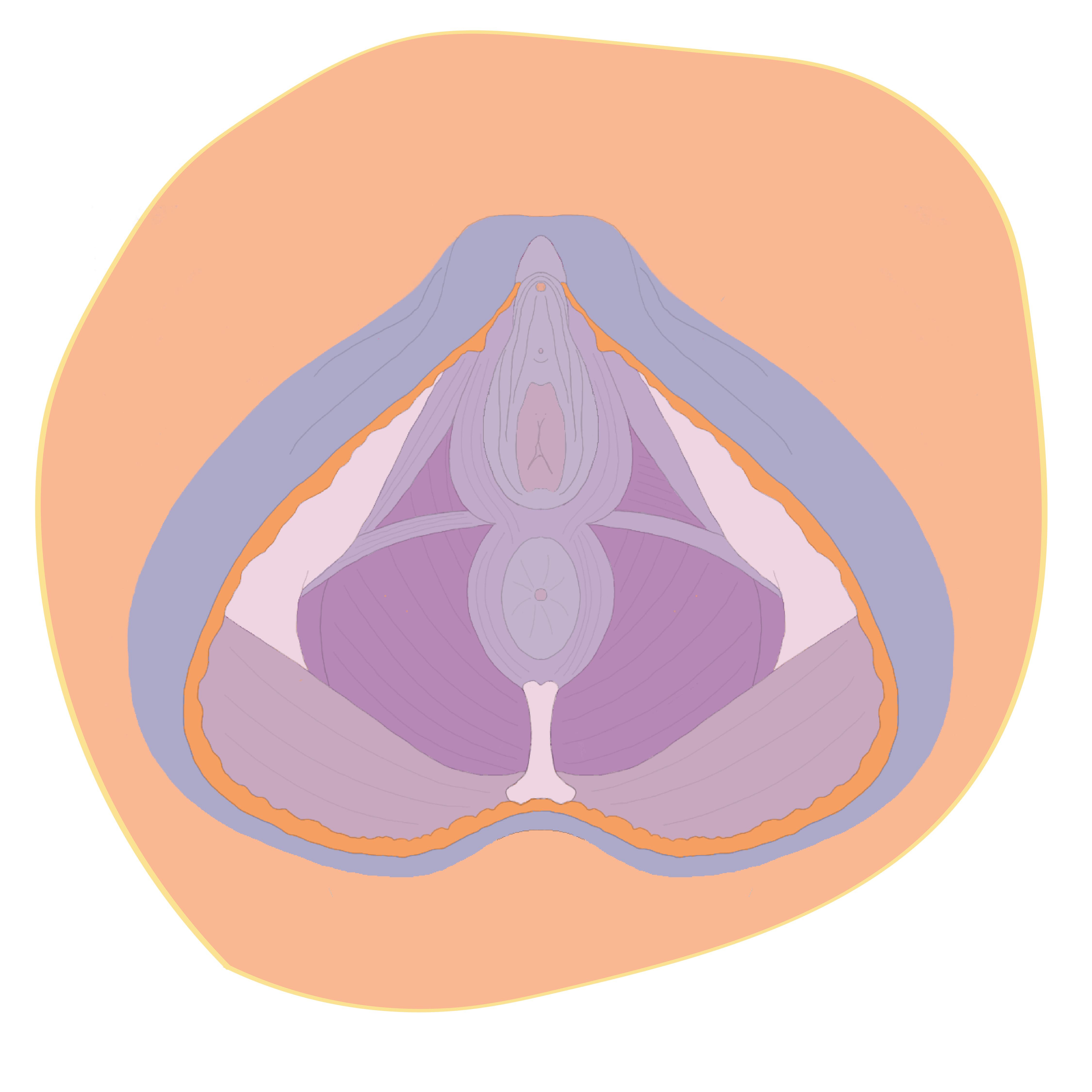 Cura del pavimento pelvico