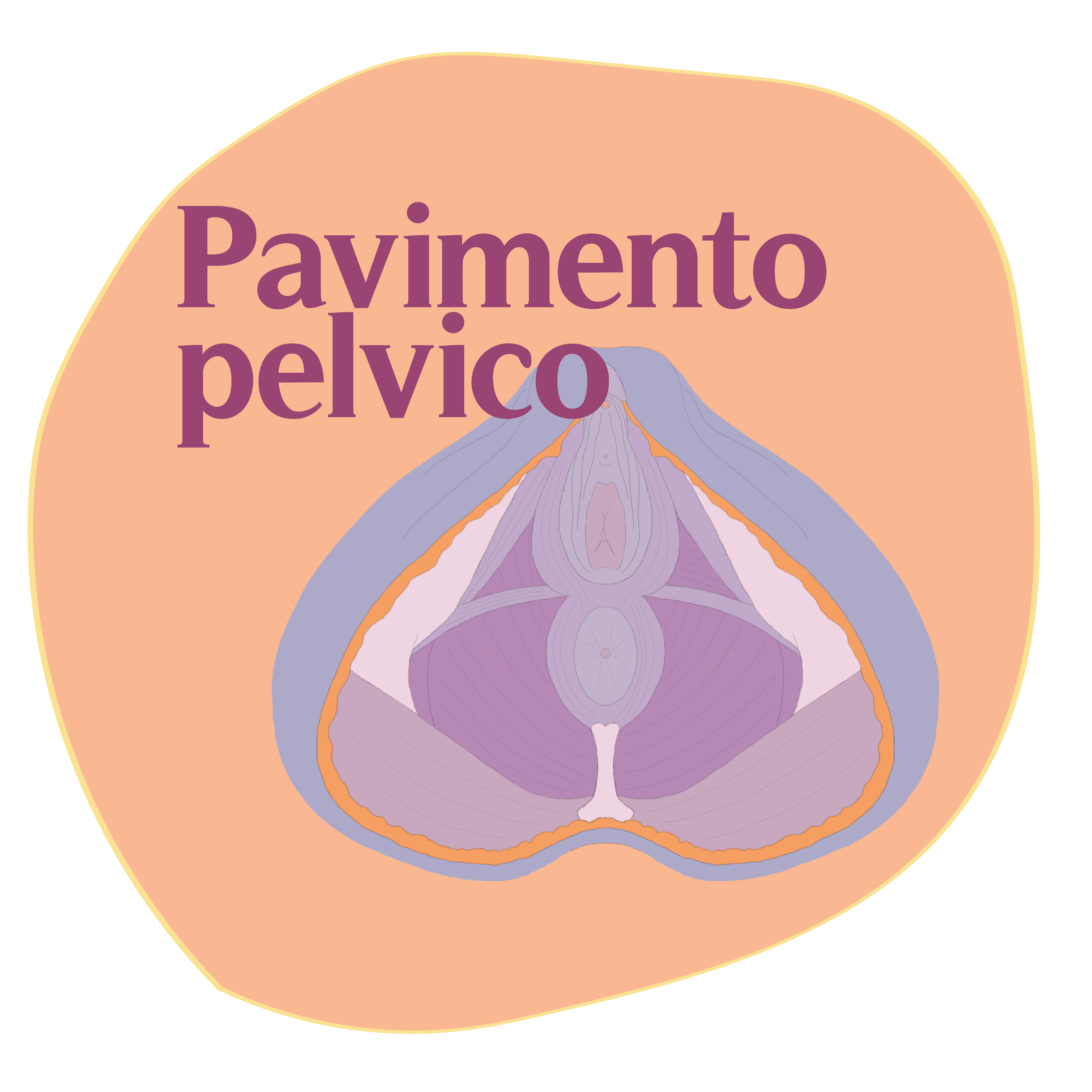 Cura del pavimento pelvico